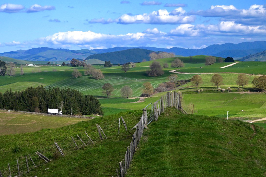 Rolling pasture hill country with fenceline, New Zealand